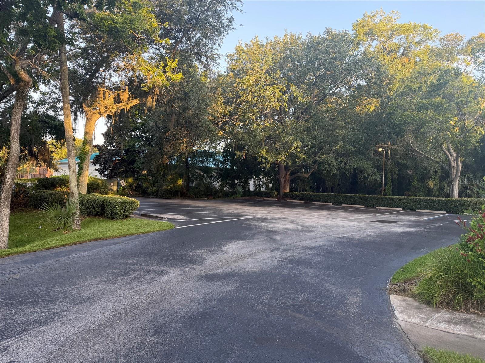 545 W GRANADA BLVD — photo 3