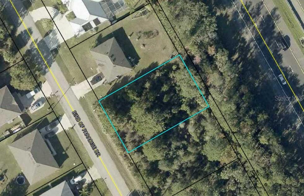152 BIRD OF PARADISE DR — photo 2