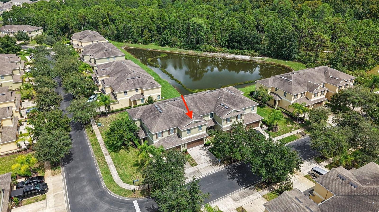 8604 FIDDLELEAF COURT — photo 4