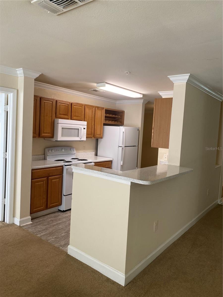 18209 BRIDLE CLUB DR #18209 — photo 3