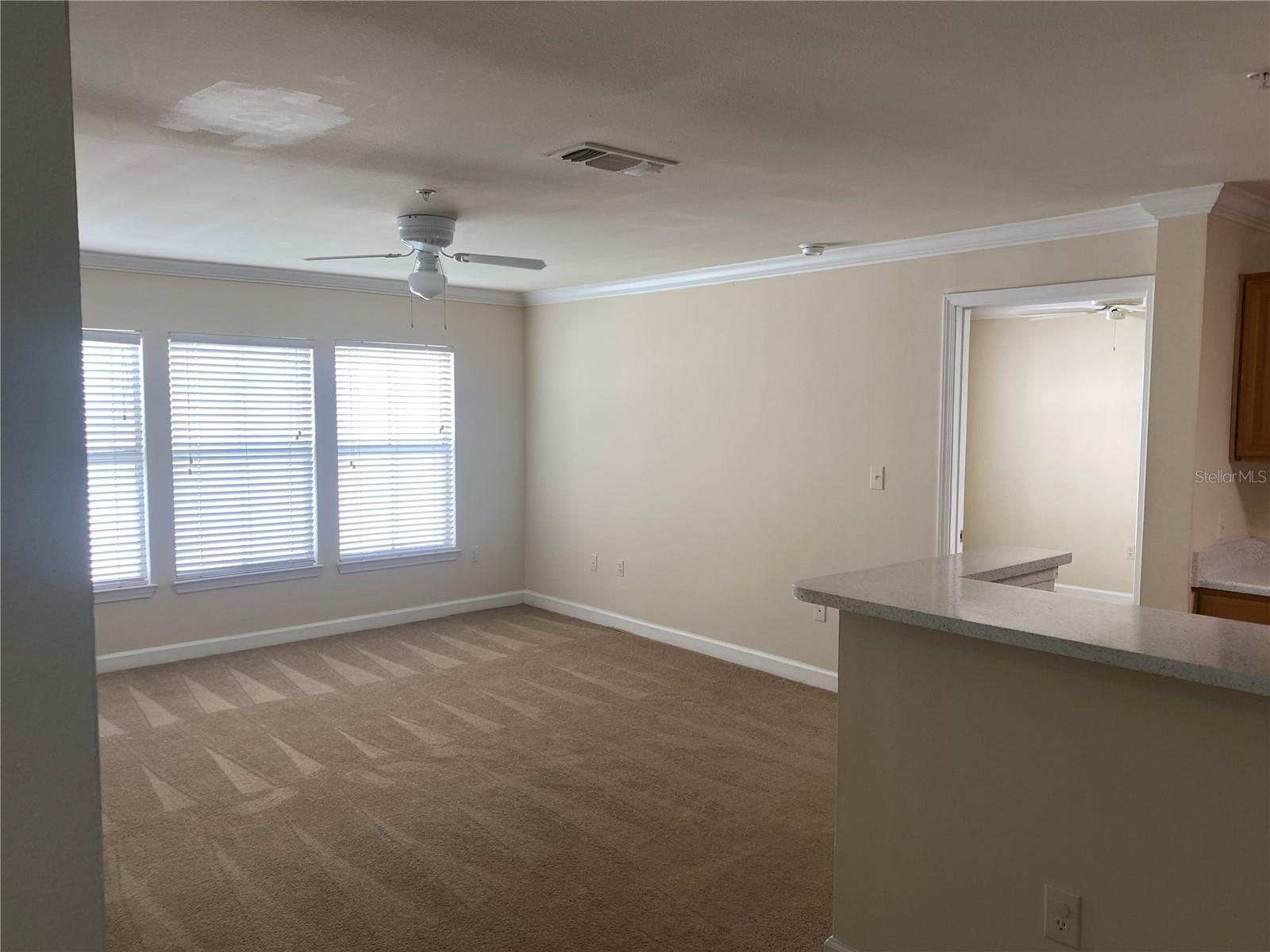 18209 BRIDLE CLUB DR #18209 — photo 10