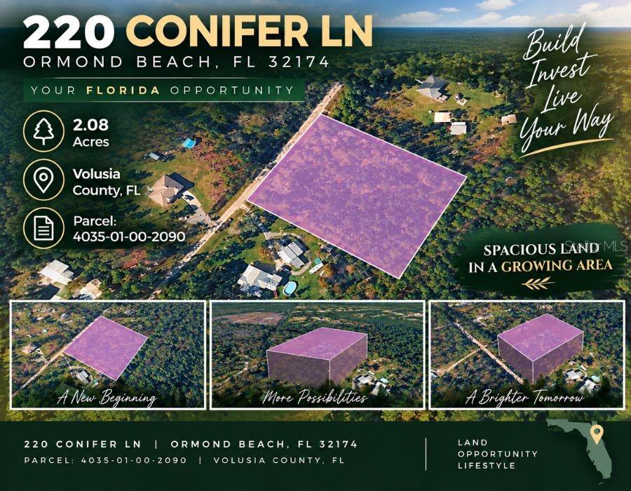 220 CONIFER LN — photo 12