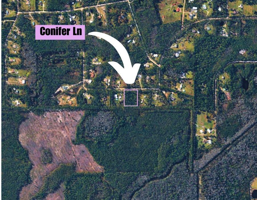 220 CONIFER LN — photo 6