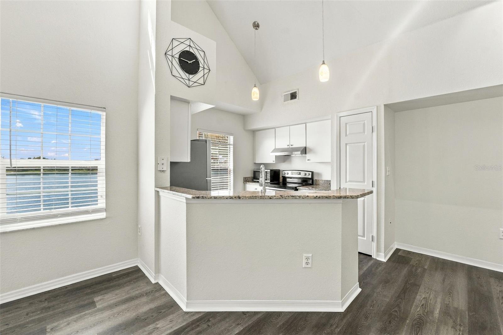 9138 LAKE CHASE ISLAND WAY — photo 6