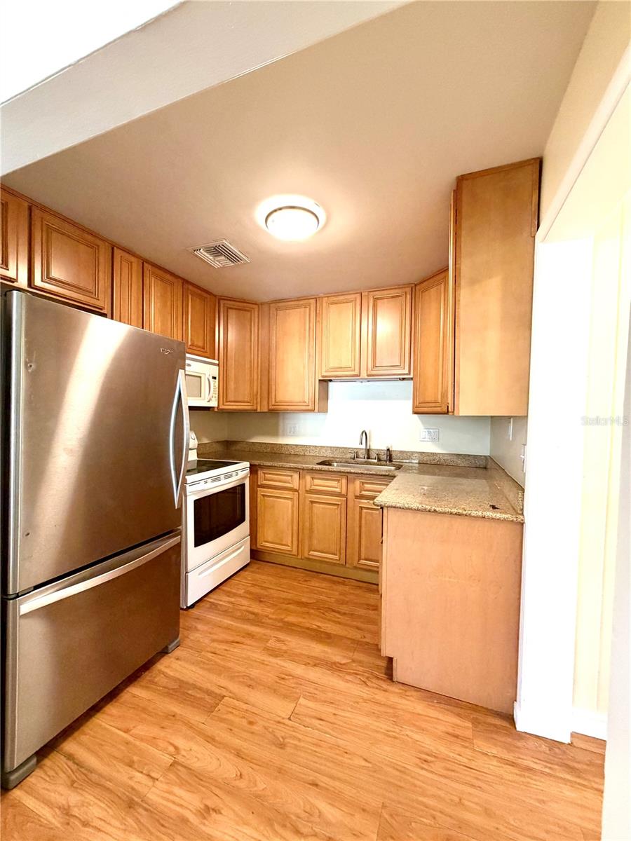 916 W ORIENT ST — photo 5