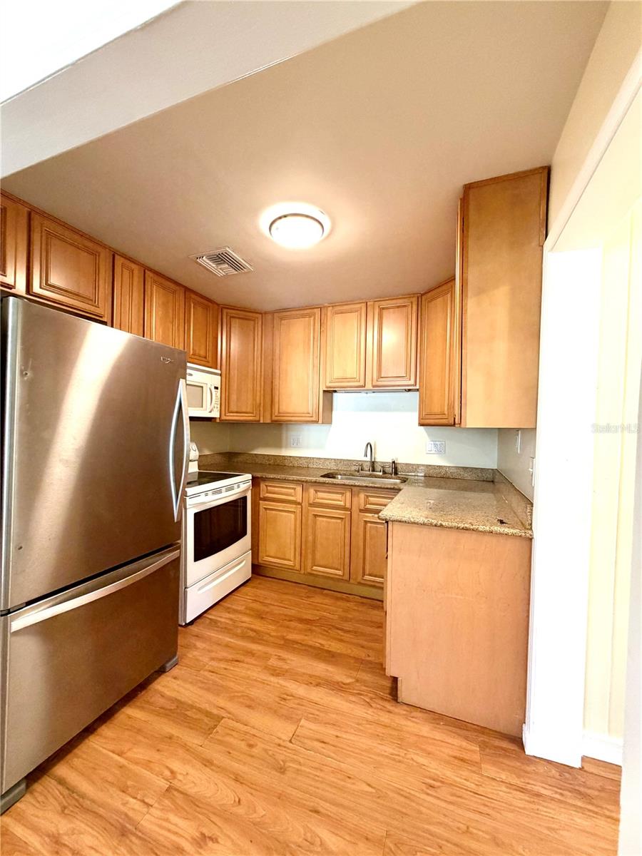 916 W ORIENT ST — photo 6