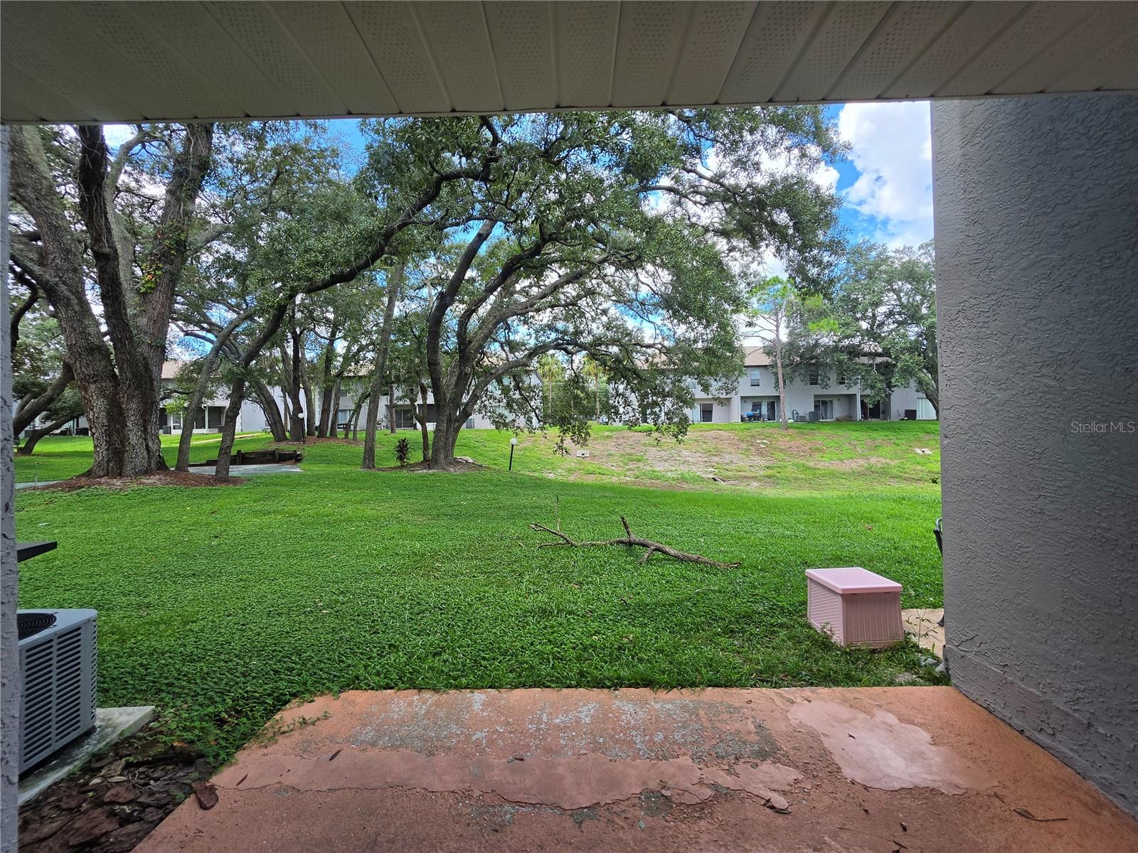 5194 SUNRIDGE PALMS DR — photo 4