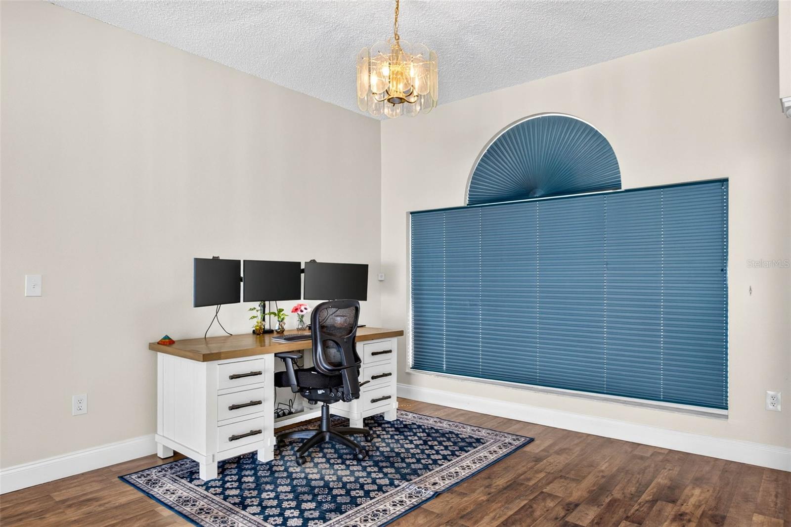 10007 VISTA POINTE DR — photo 12