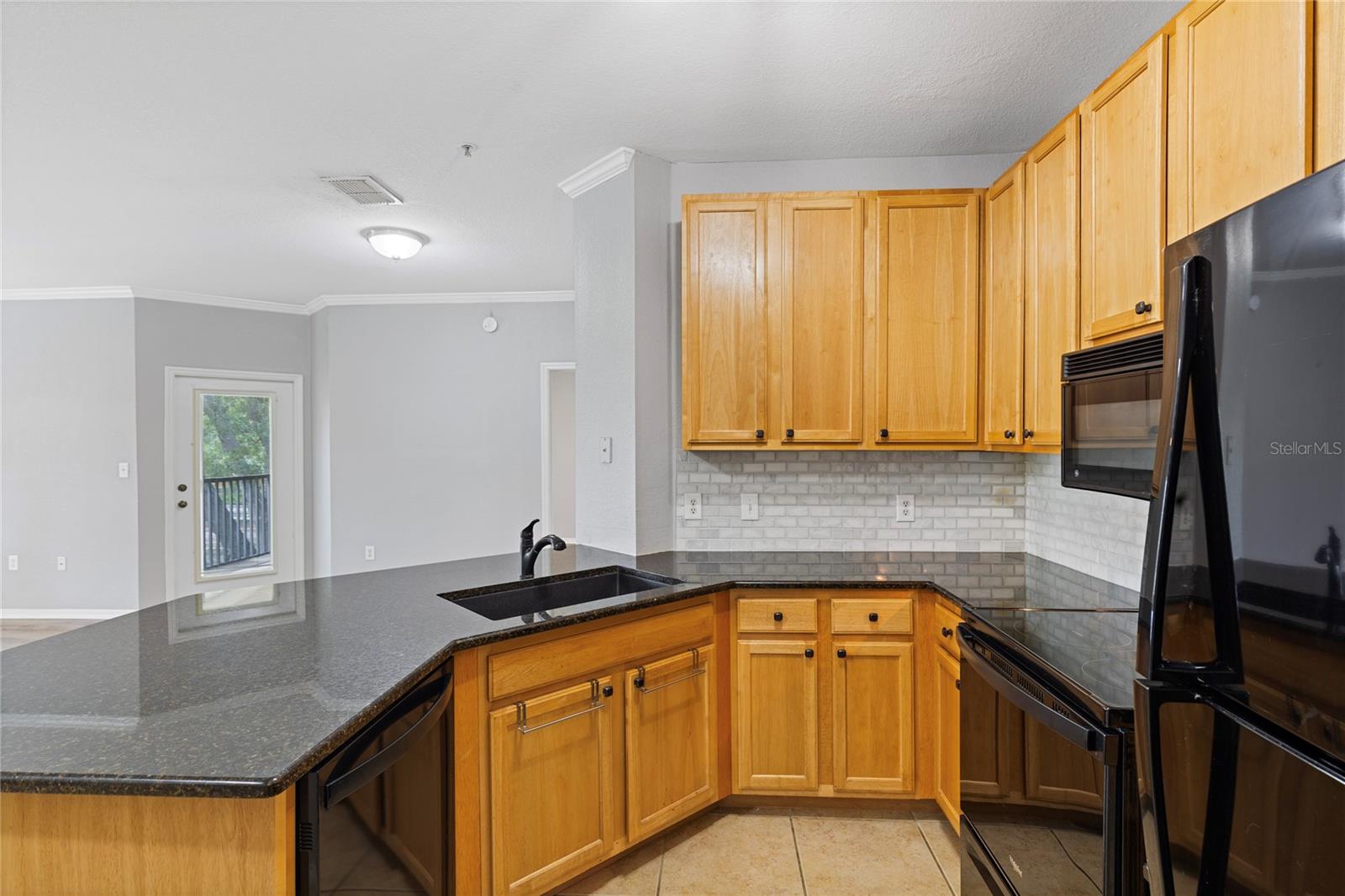 10105 COURTNEY OAKS CIR #203 — photo 3