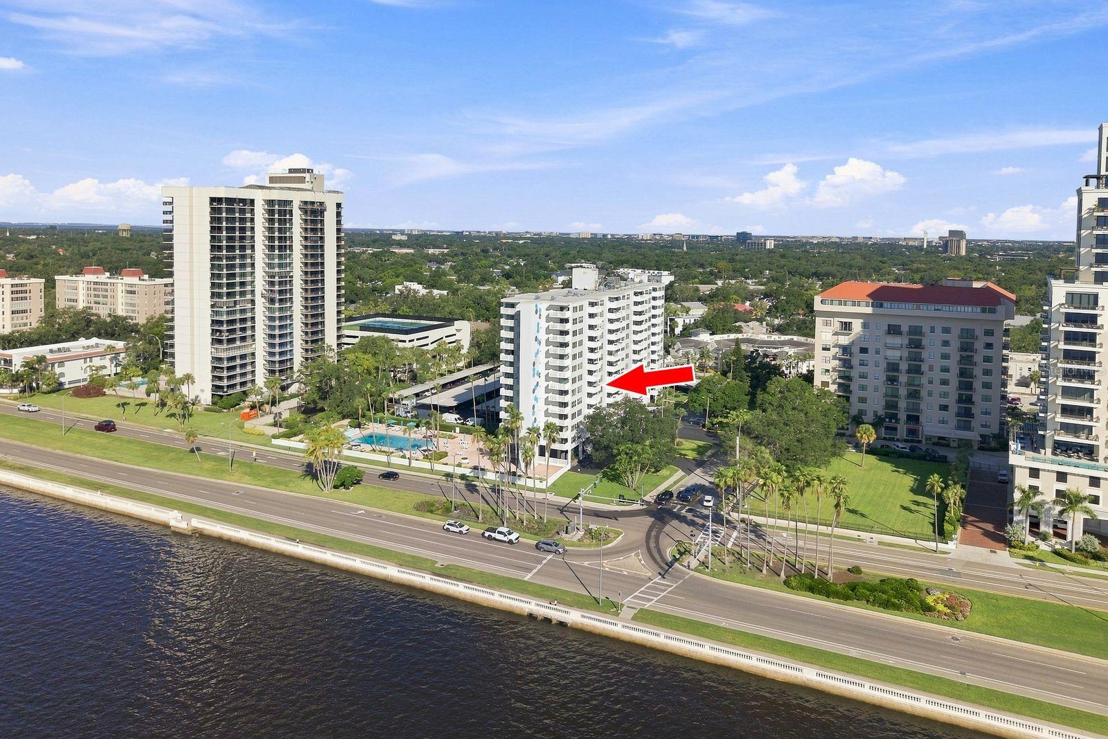 2401 BAYSHORE BLVD #609 — photo 6