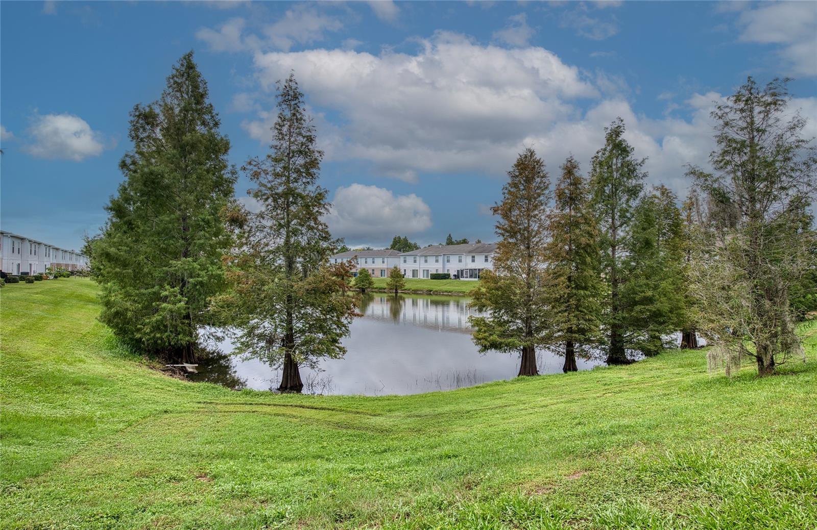 4729 ASHBURN POND WAY — photo 3