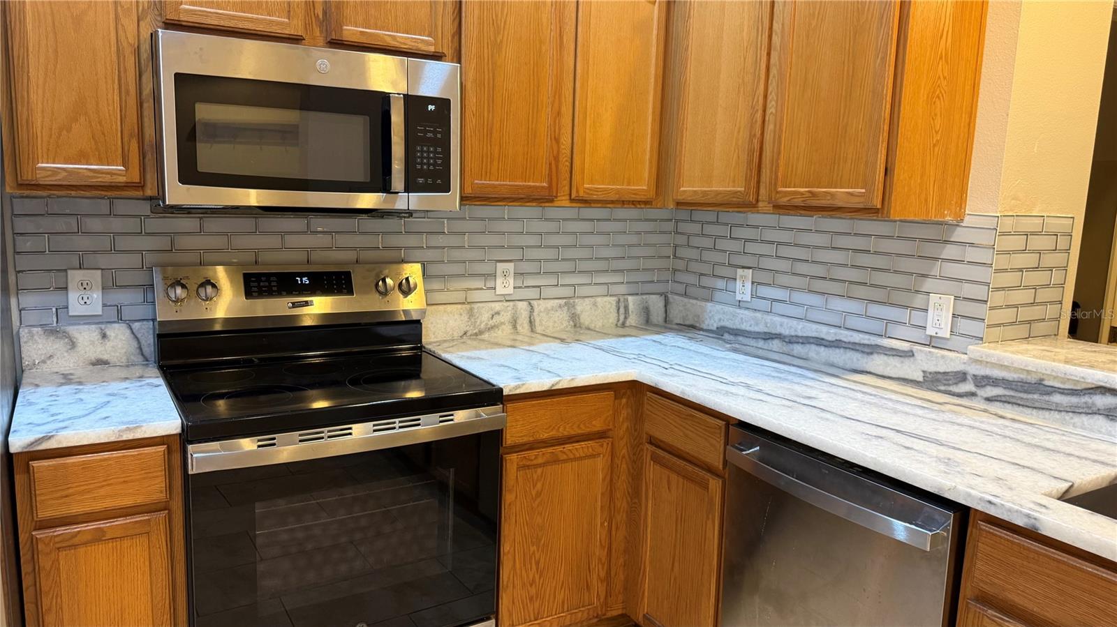 4135 BISMARCK PALM DR — photo 8