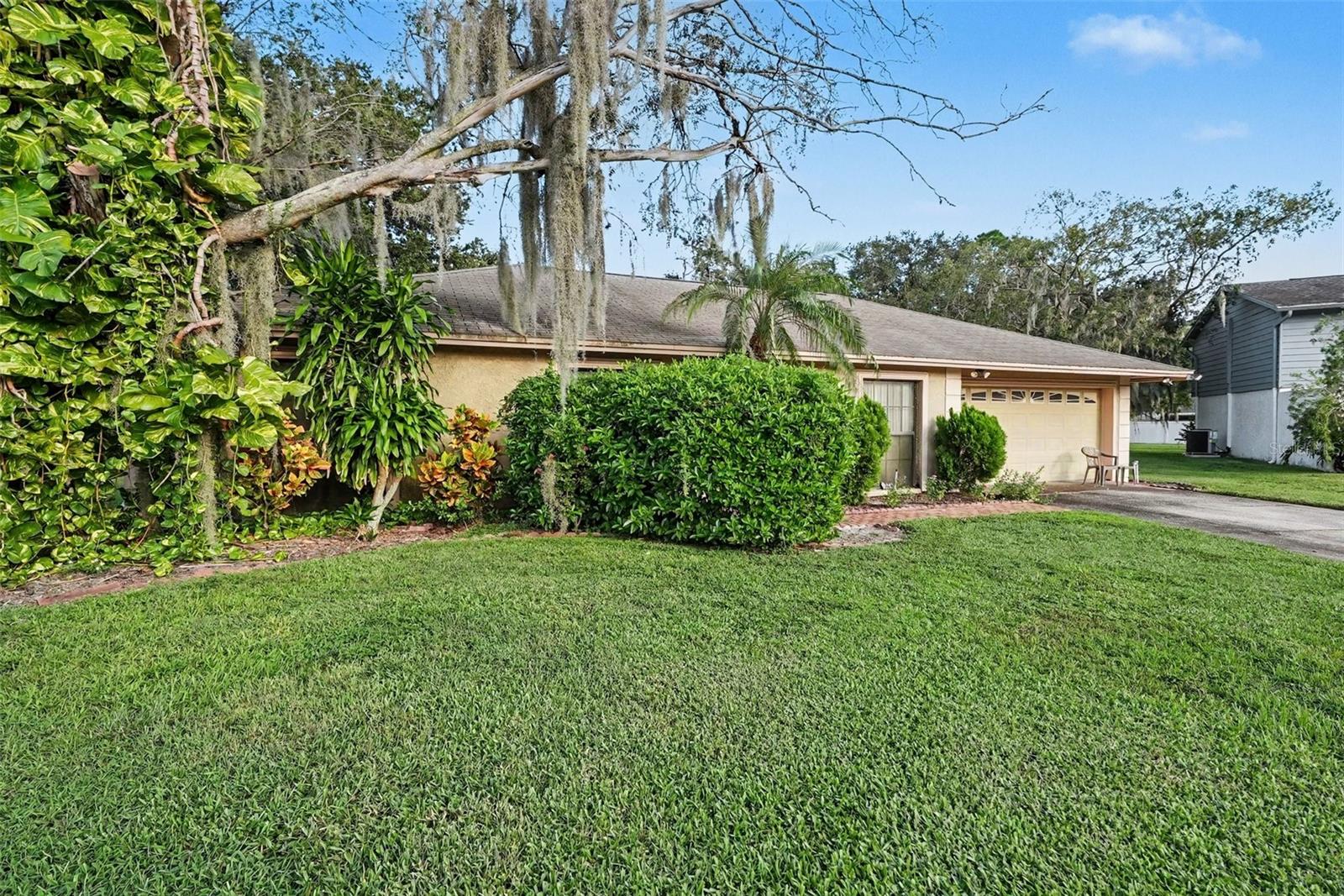 602 SPECK CT — photo 3