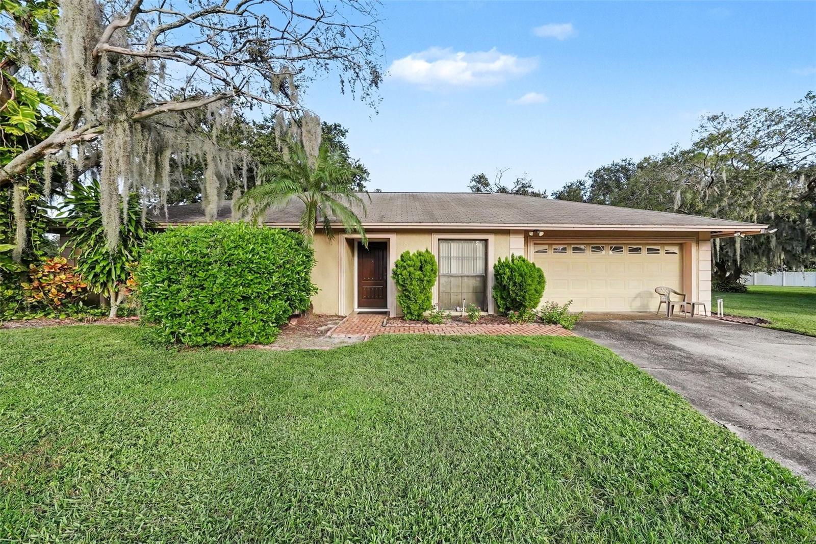 602 SPECK CT