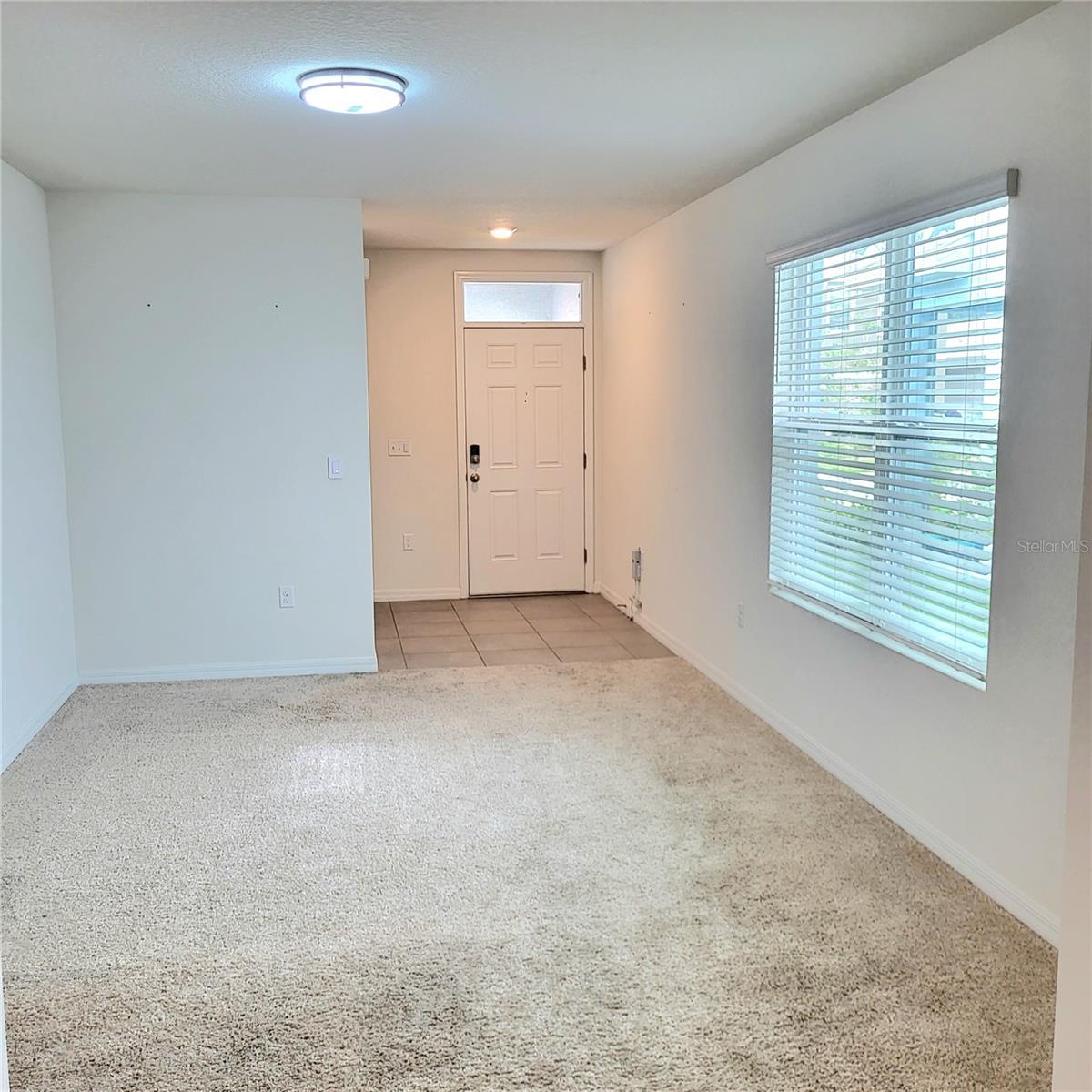 10836 TRAILING VINE DR — photo 12