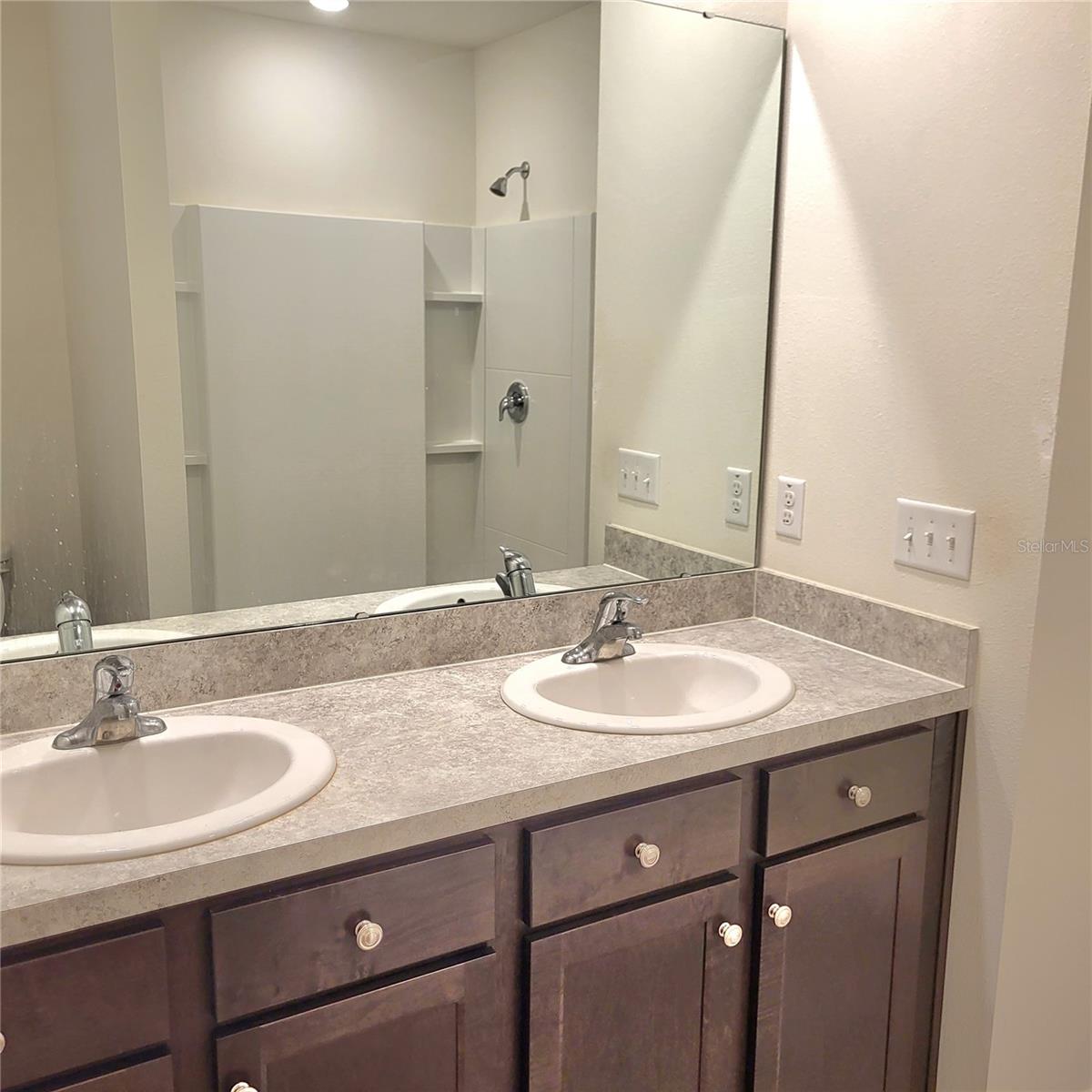 10836 TRAILING VINE DR — photo 9