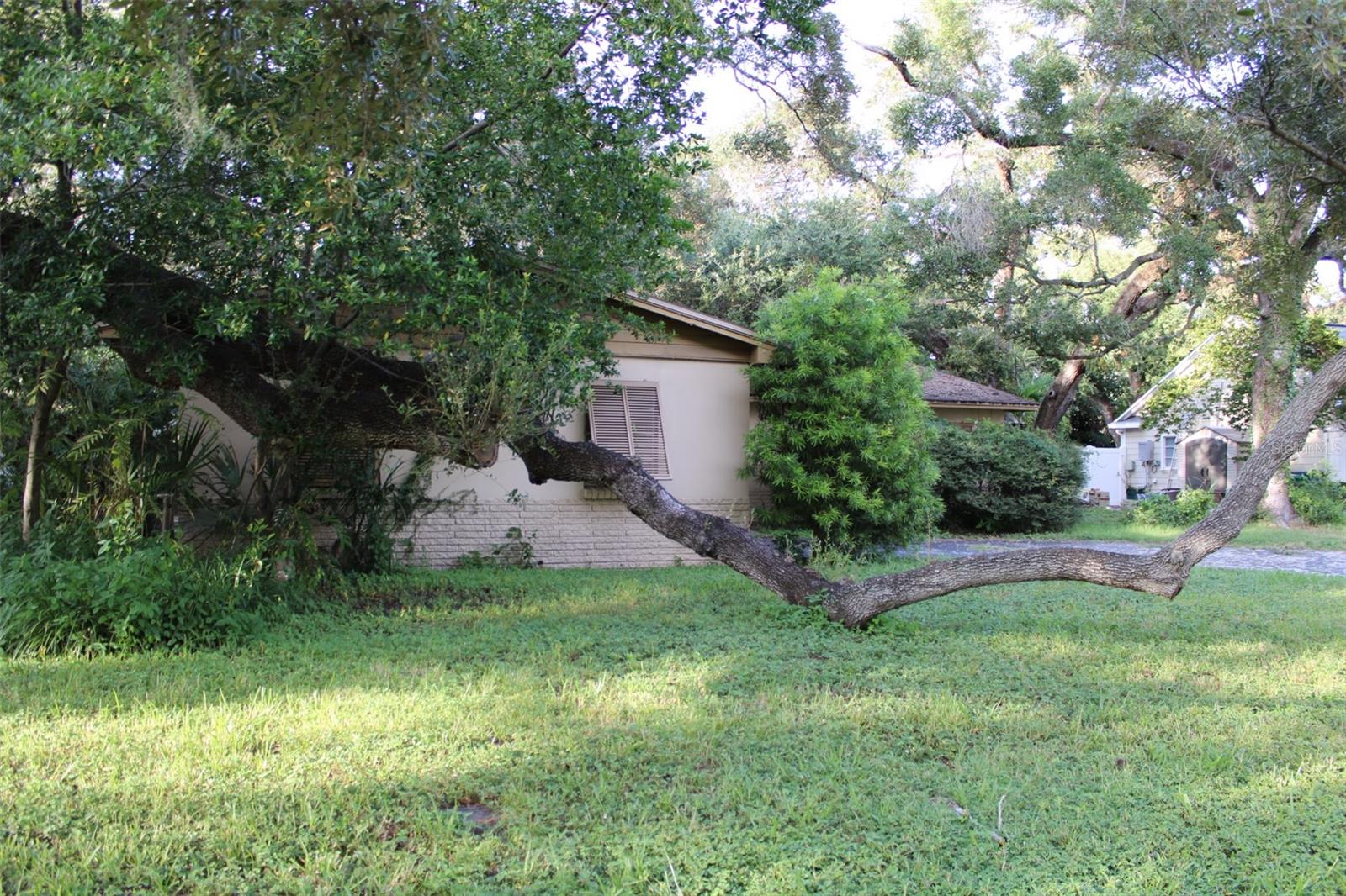 4417 W WATROUS AVE — photo 5