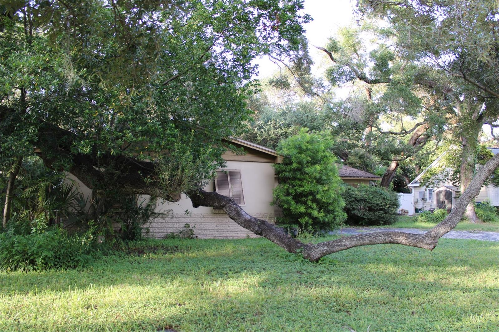 4417 W WATROUS AVE — photo 6