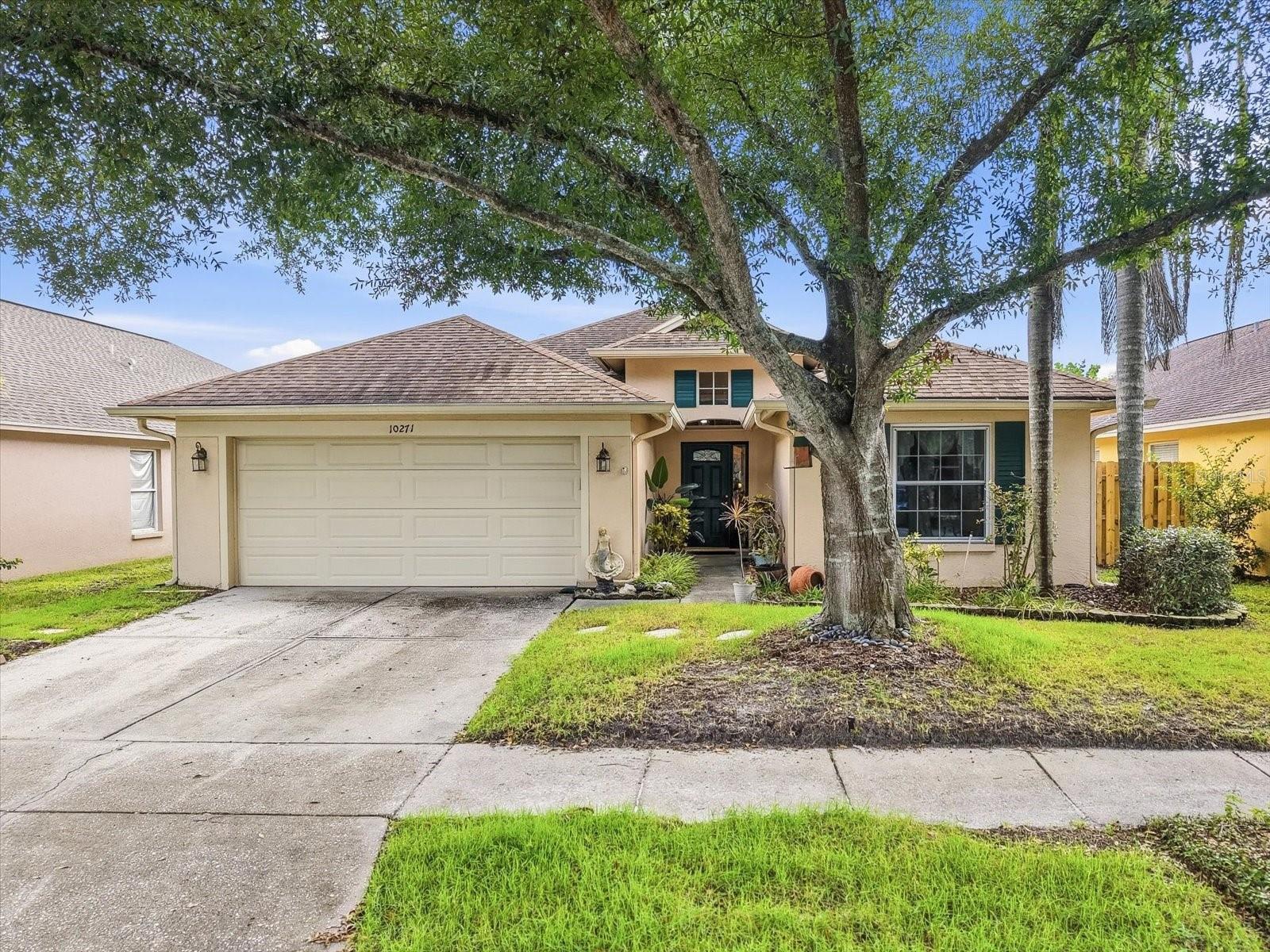 10271 OASIS PALM DR