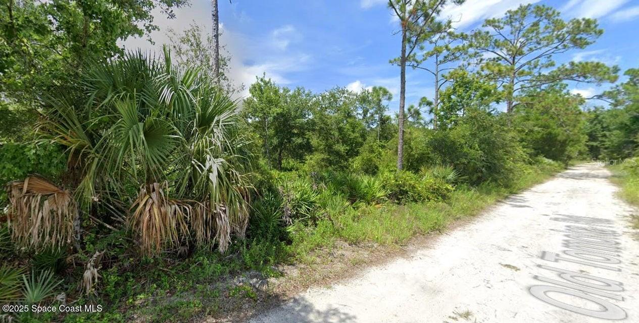 W SR-40 — photo 5