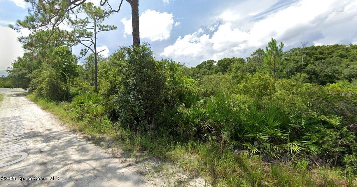 W SR-40 — photo 6