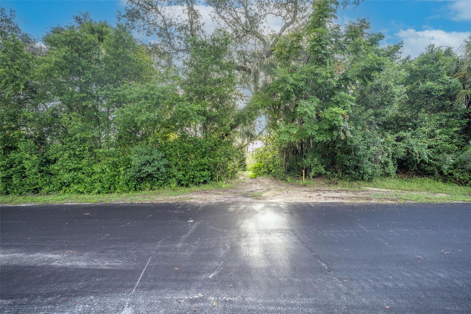 2163 VAN ORMAN DR — photo 3