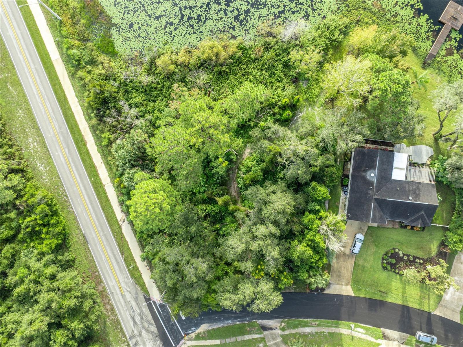 2163 VAN ORMAN DR — photo 10