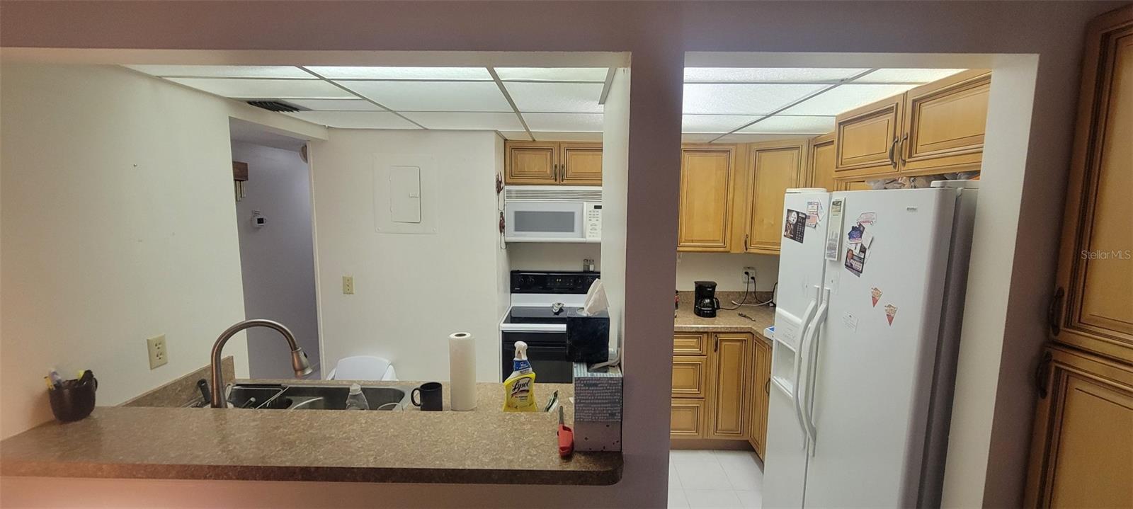 180 MAGNOLIA WOODS CT #19A — photo 7