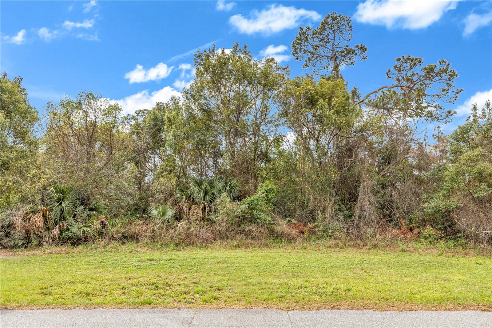 205 PLUMOSA RD — photo 3