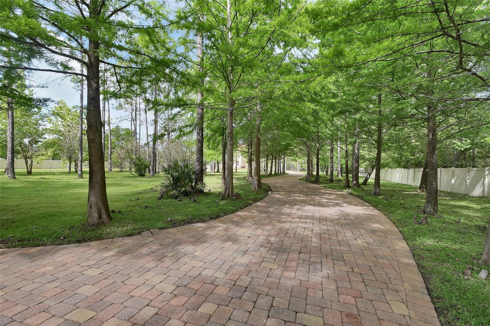 443 JUNIPER LN — photo 3
