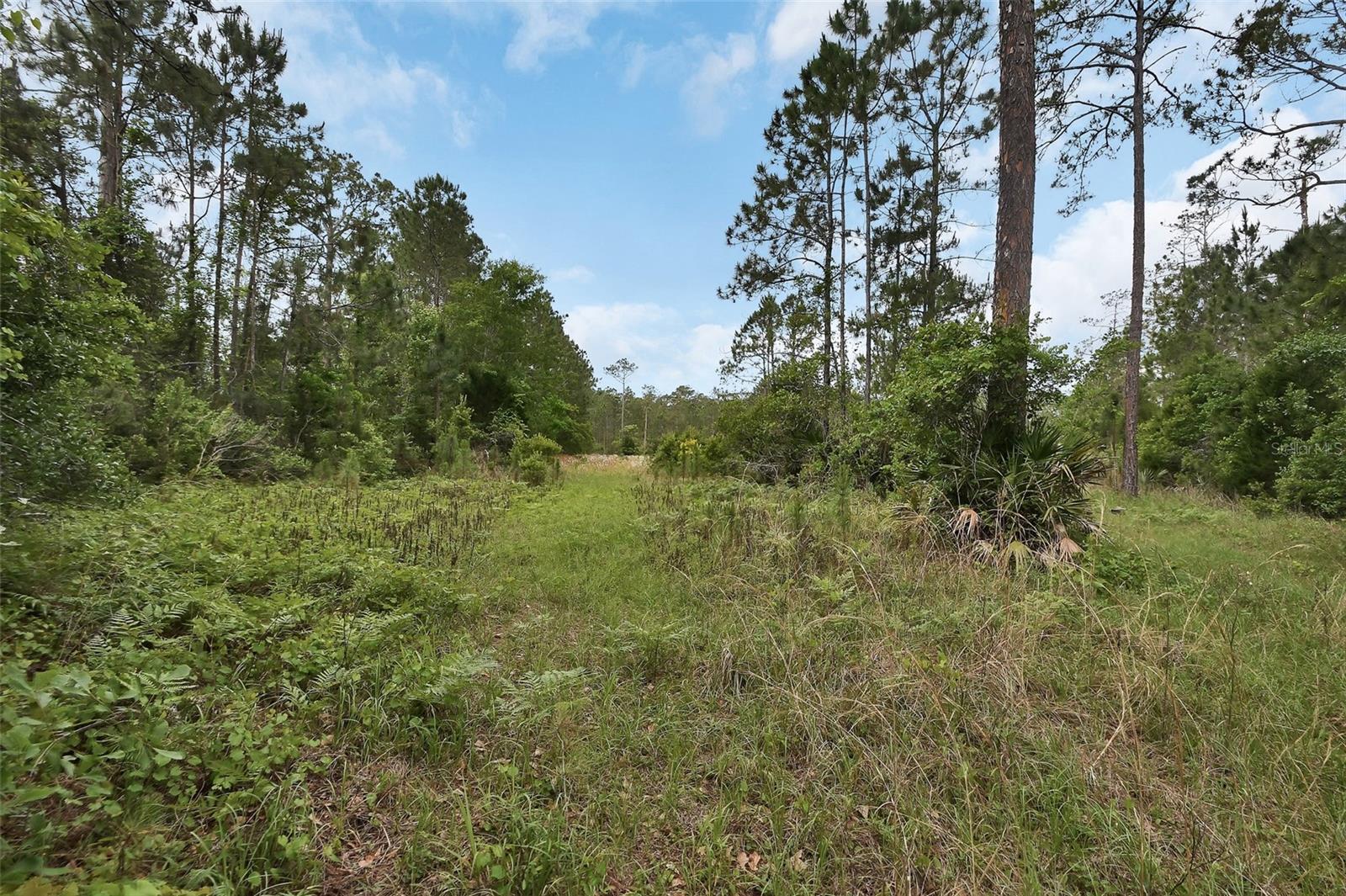 0 W SR 40 HWY — photo 9