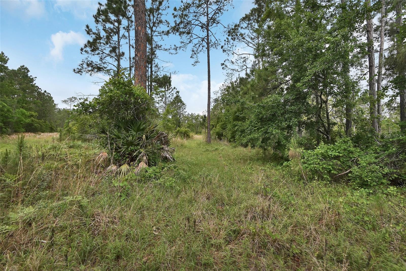0 W SR 40 HWY — photo 10