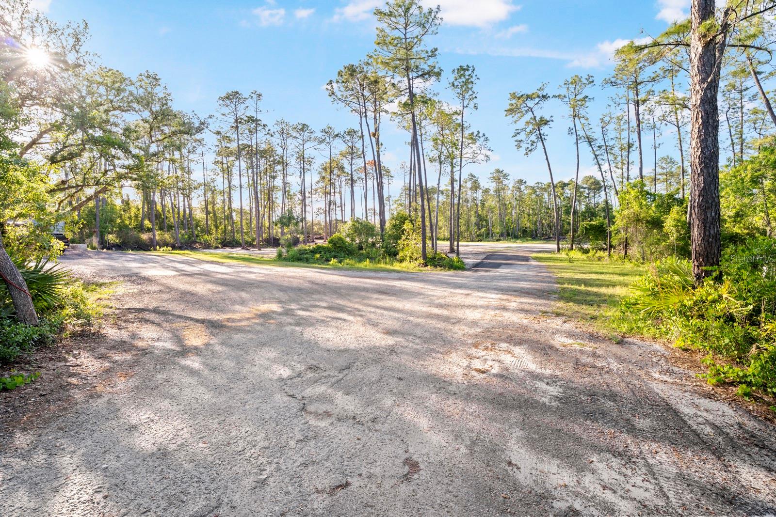 1000 SR 415 — photo 2