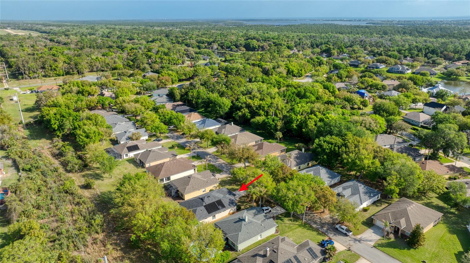 38 TIMUCUAN DR — photo 4