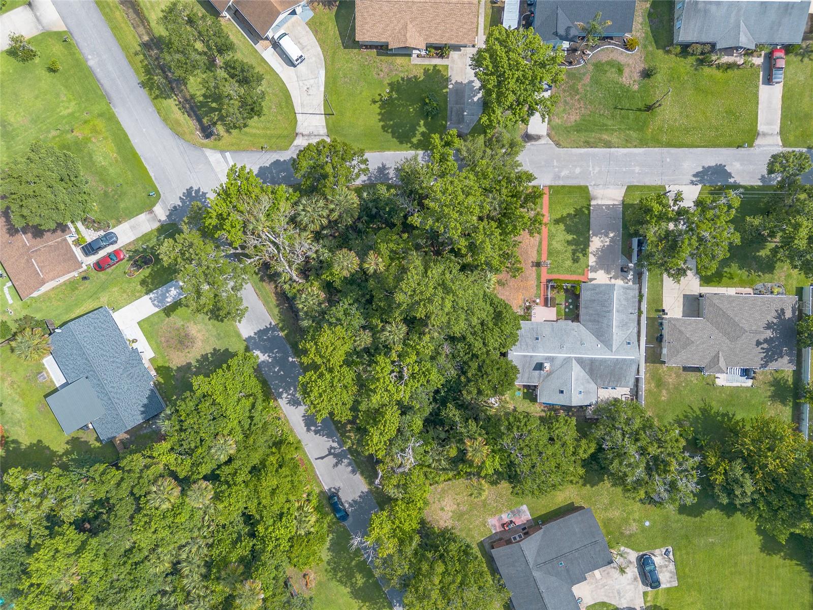 2433 CLAIRE AVE — photo 11