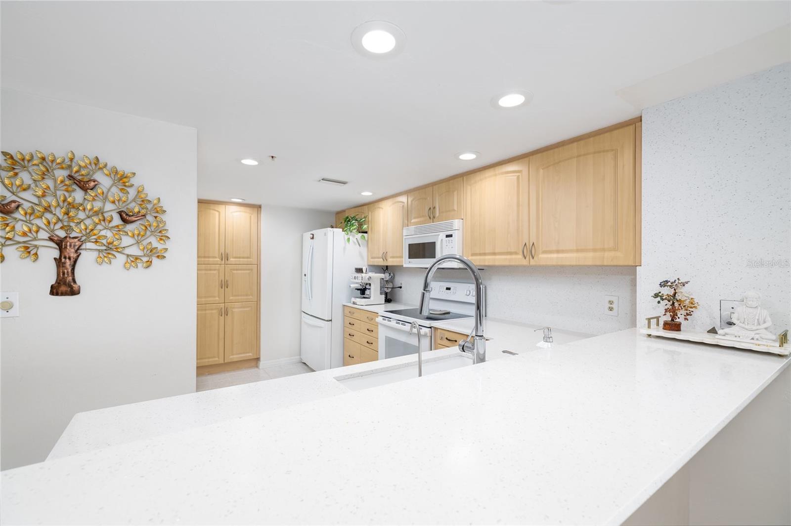 2967 S ATLANTIC AVE #1204 — photo 12