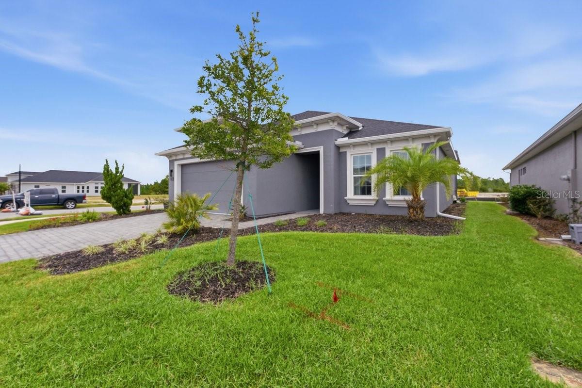 246 AZURE MIST WAY — photo 4