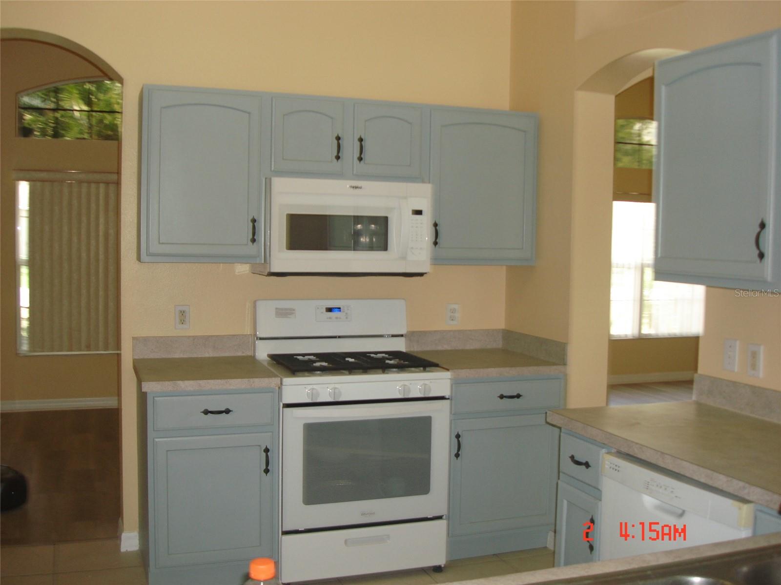 606 ALDER GROVE DR — photo 8