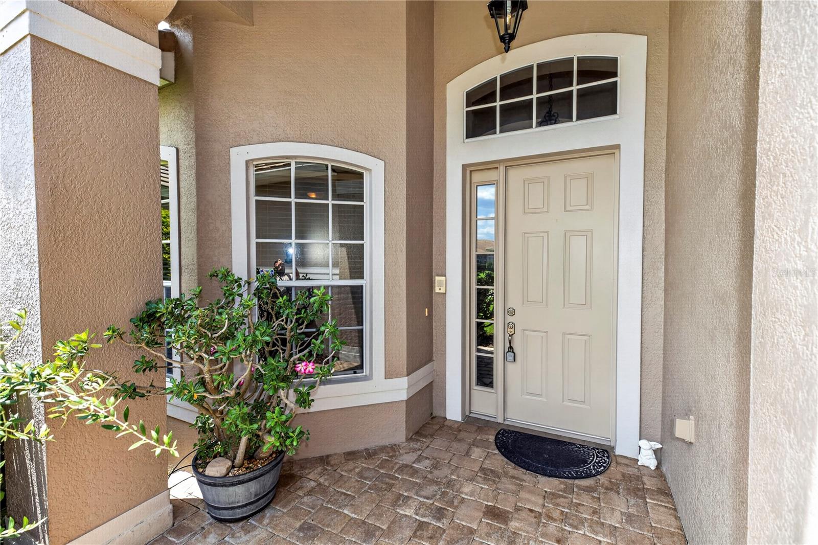 619 NEWHALL LN — photo 4
