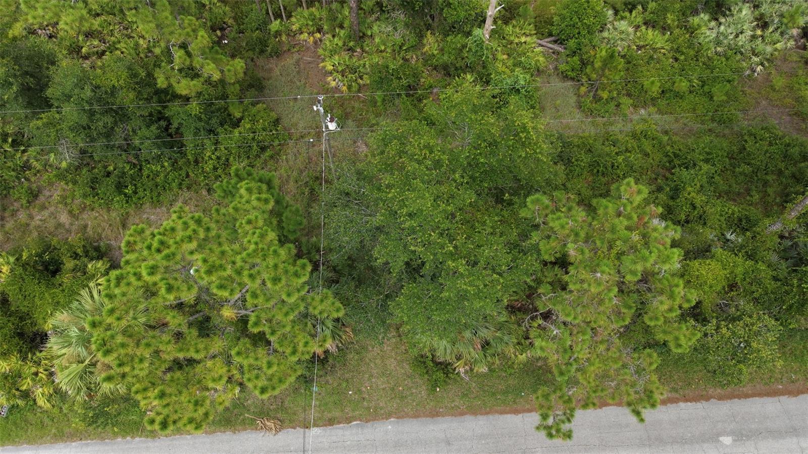 1715 TATUM BLVD — photo 3