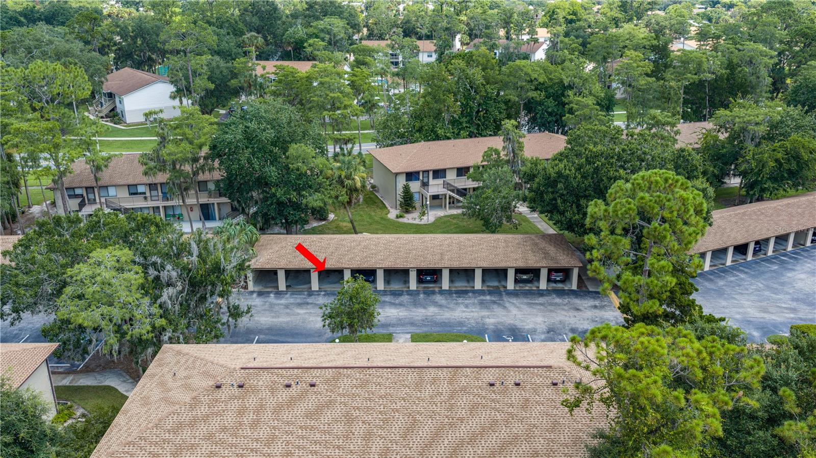 1601 BIG TREE RD #803 — photo 3