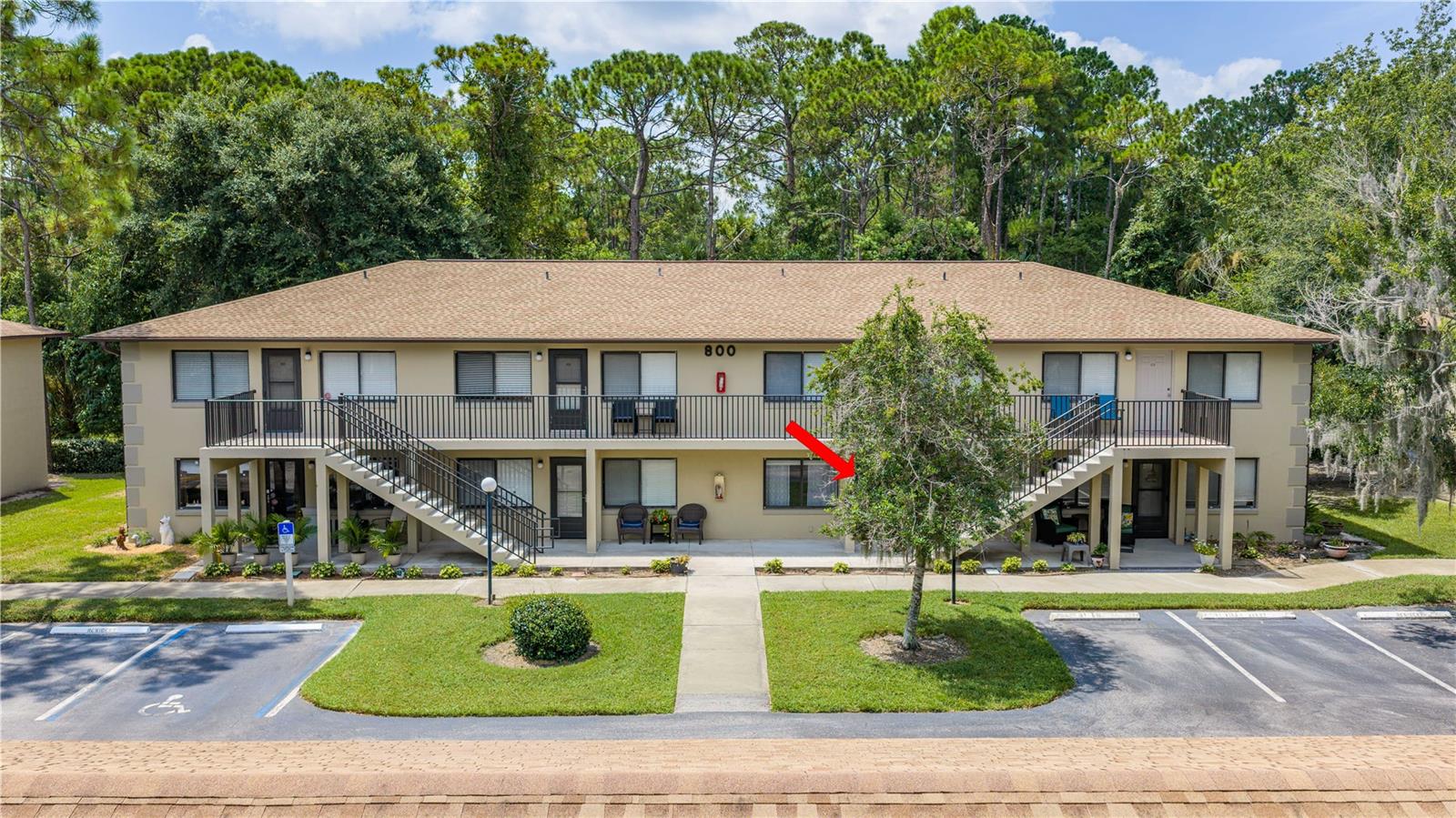 1601 BIG TREE RD #803