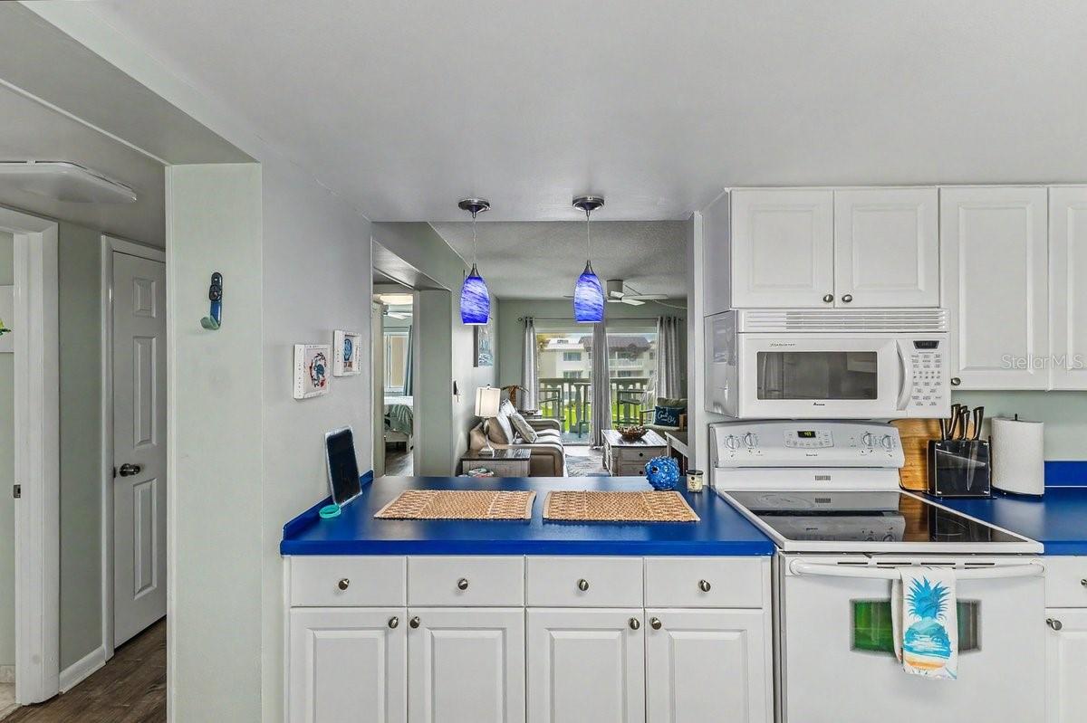 3663 S ATLANTIC AVE #33B — photo 9