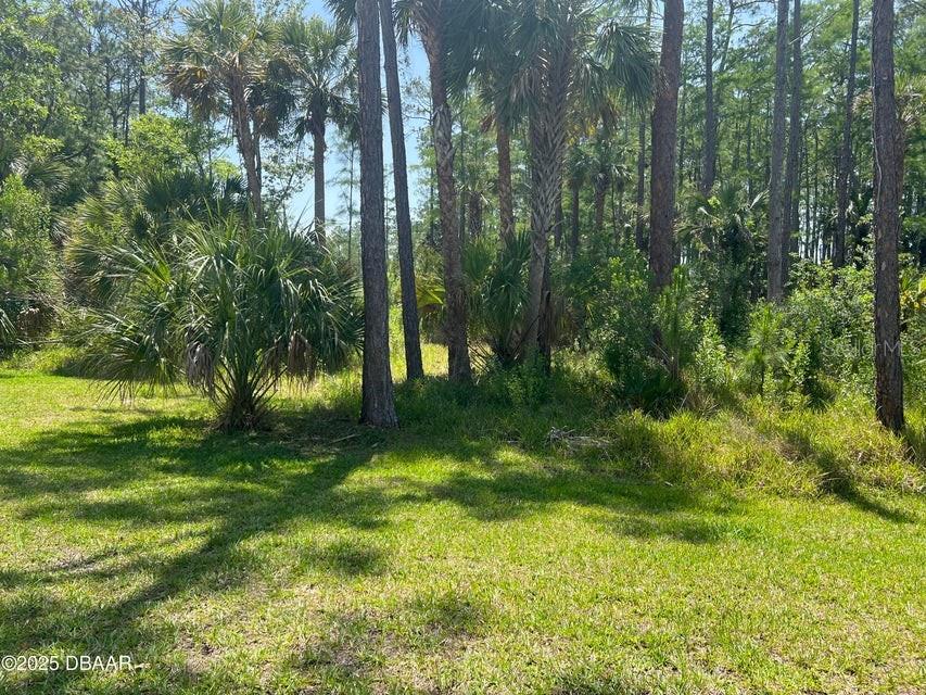 3 REMINGTON RD — photo 2