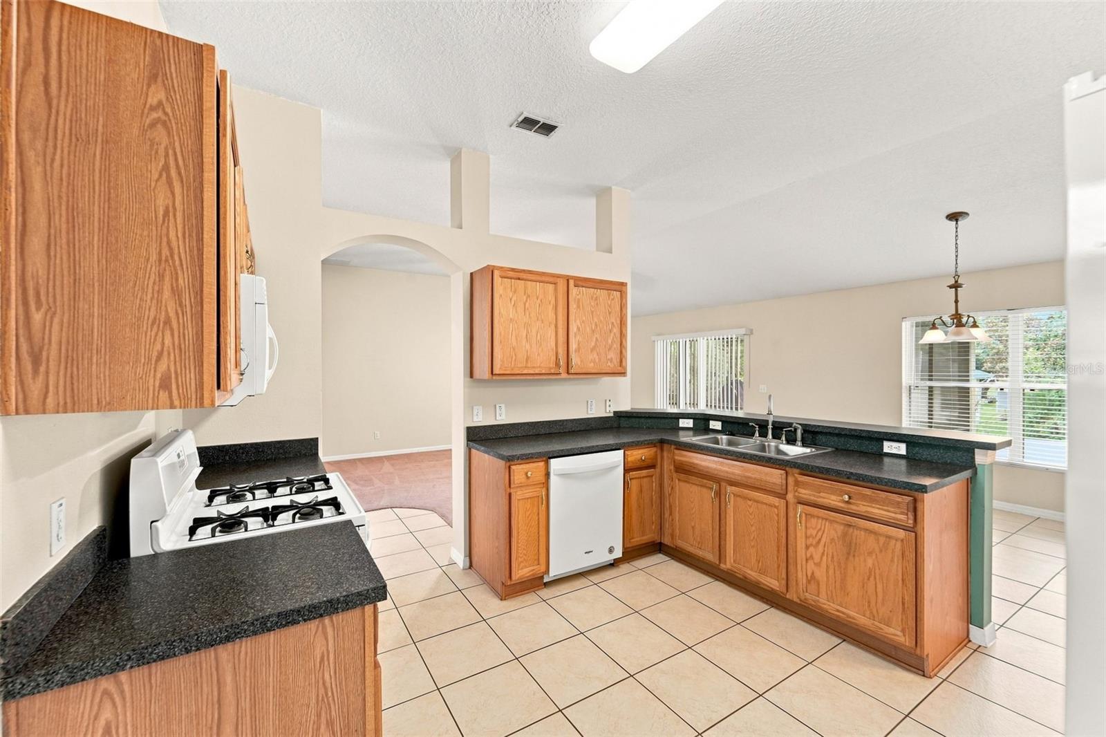 614 RED MULBERRY DR — photo 6