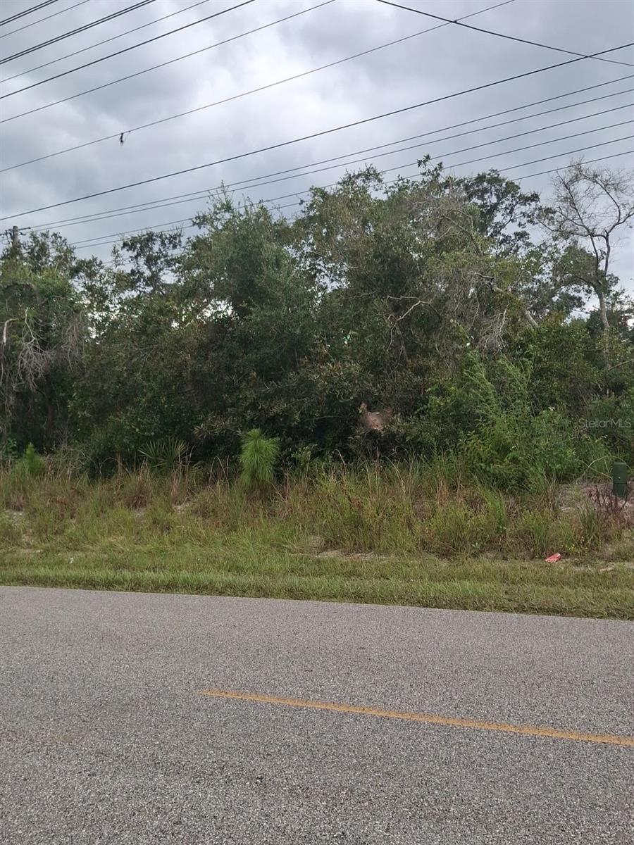SIXMA RD — photo 4